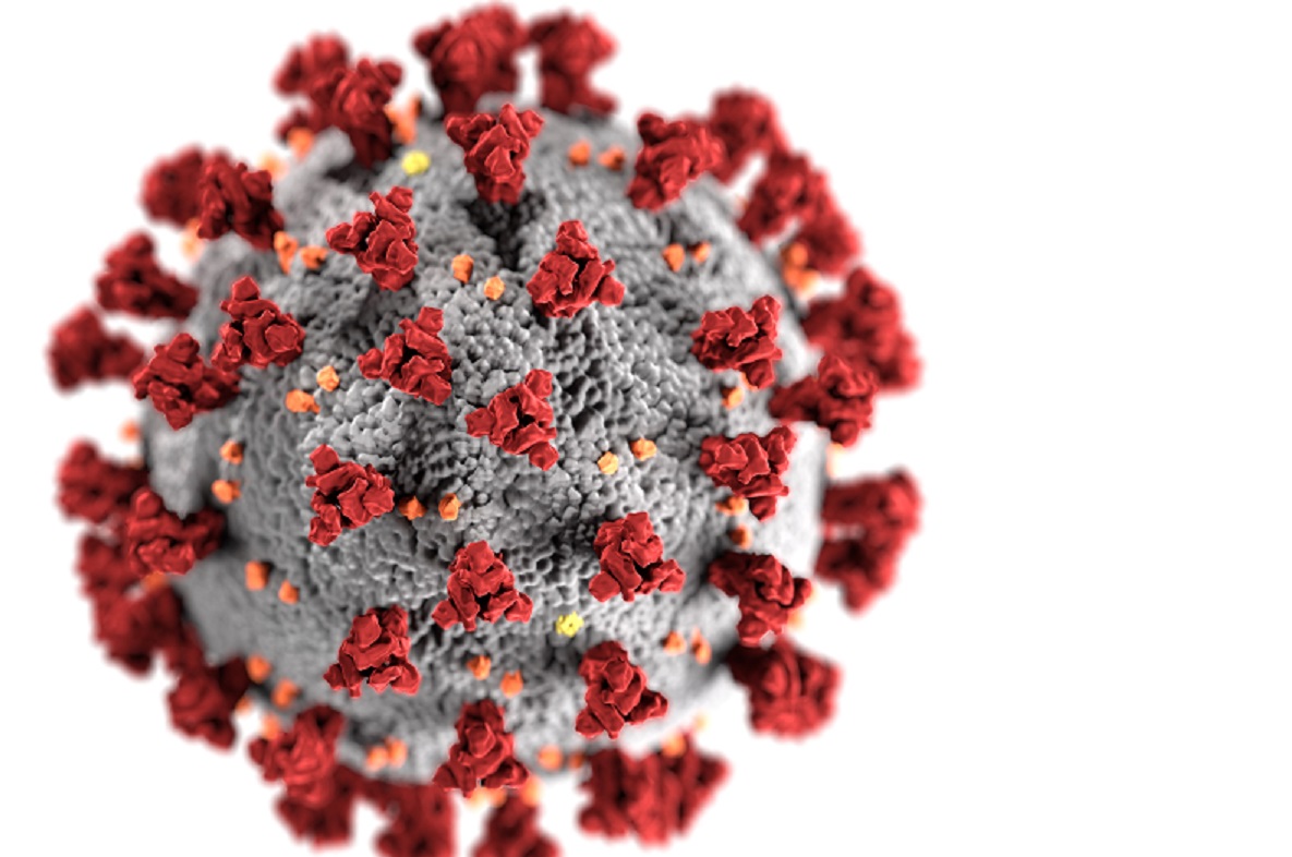 How has Covid19 affected fees status? UK Study Options