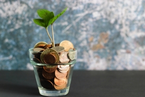 Image of money used to grow a plant